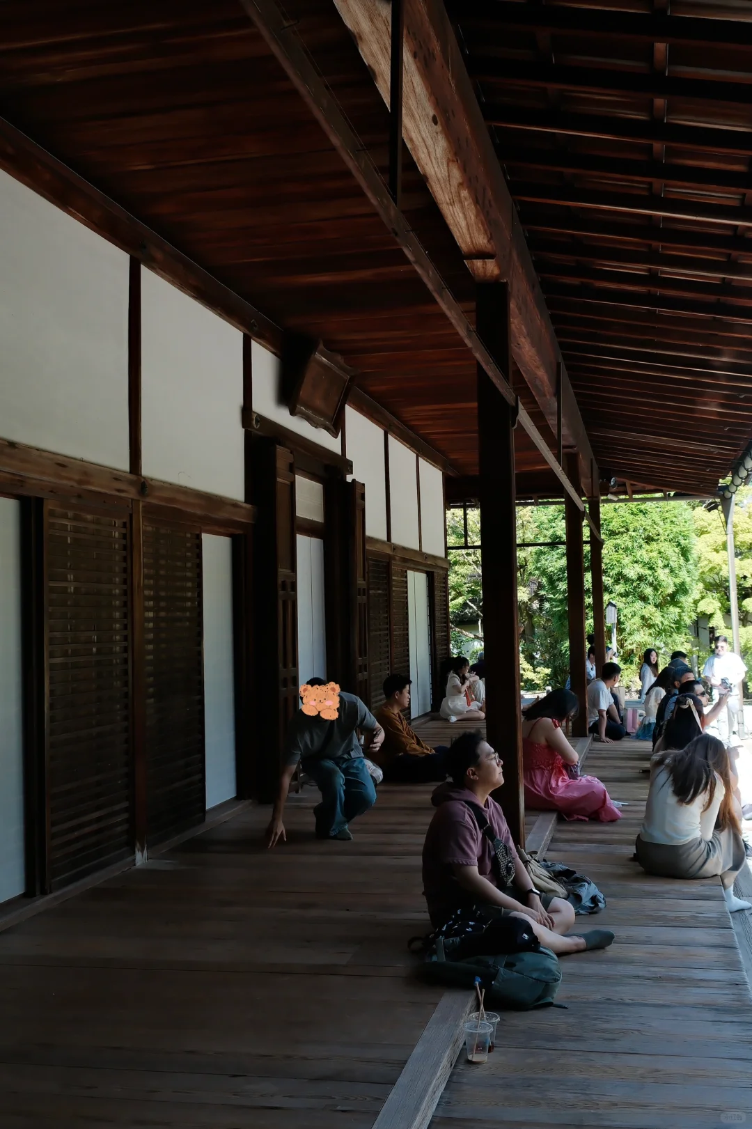 🇯🇵|天授庵🍃京都最值得的一日游路线