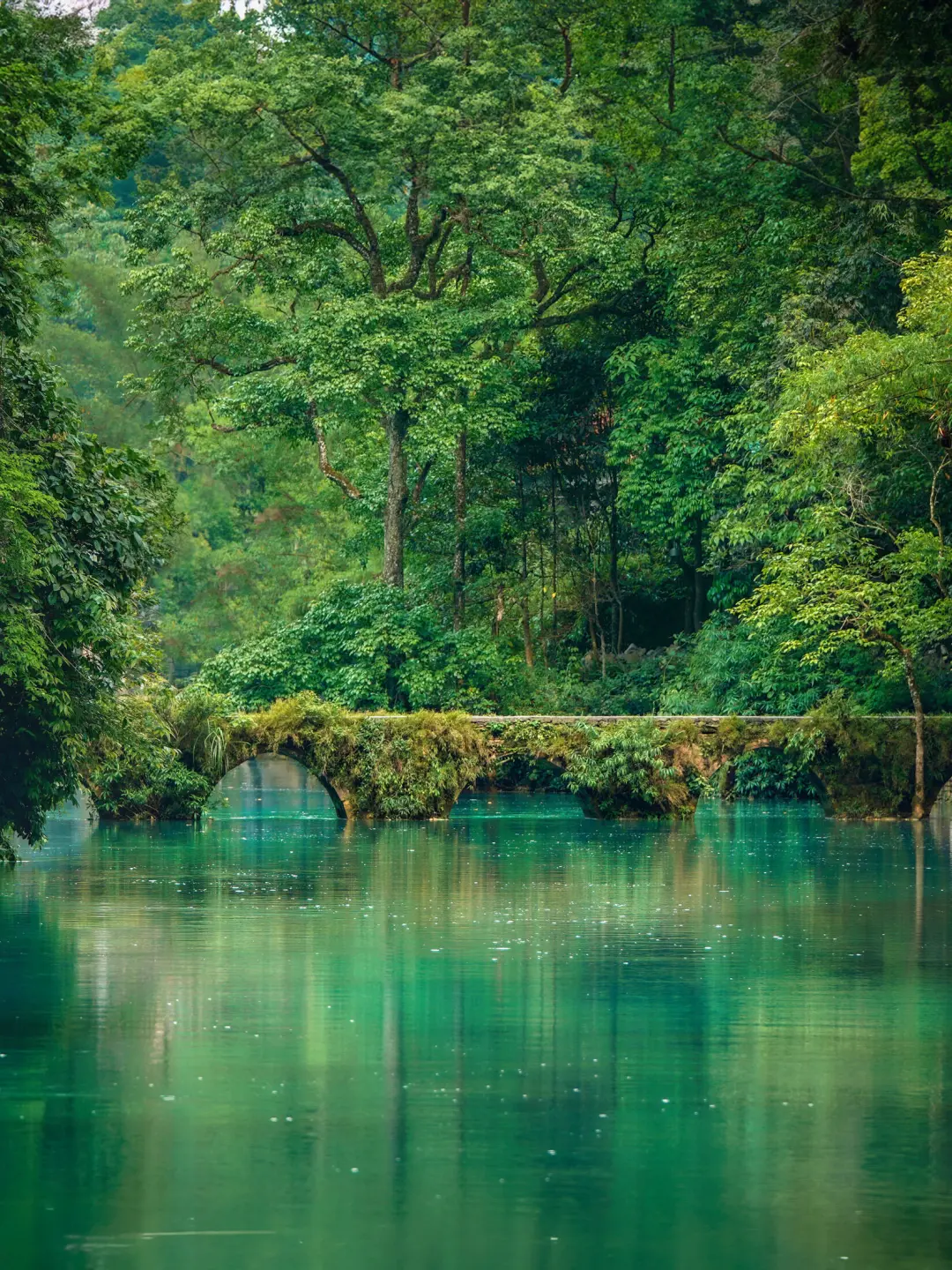 有山有水的地方，心就定住了