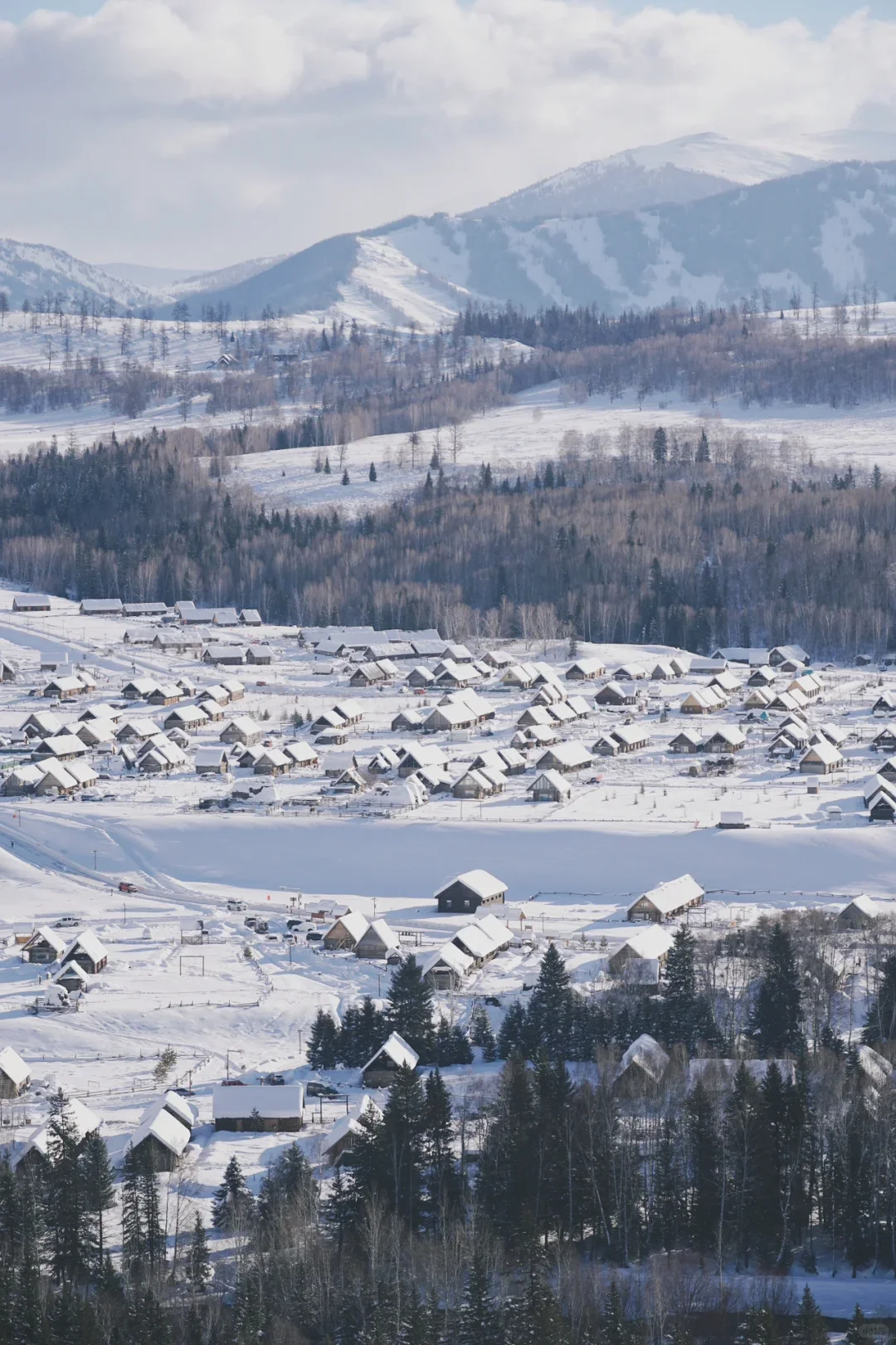 南北疆玩法终极指南🤯一篇让你看懂怎么玩