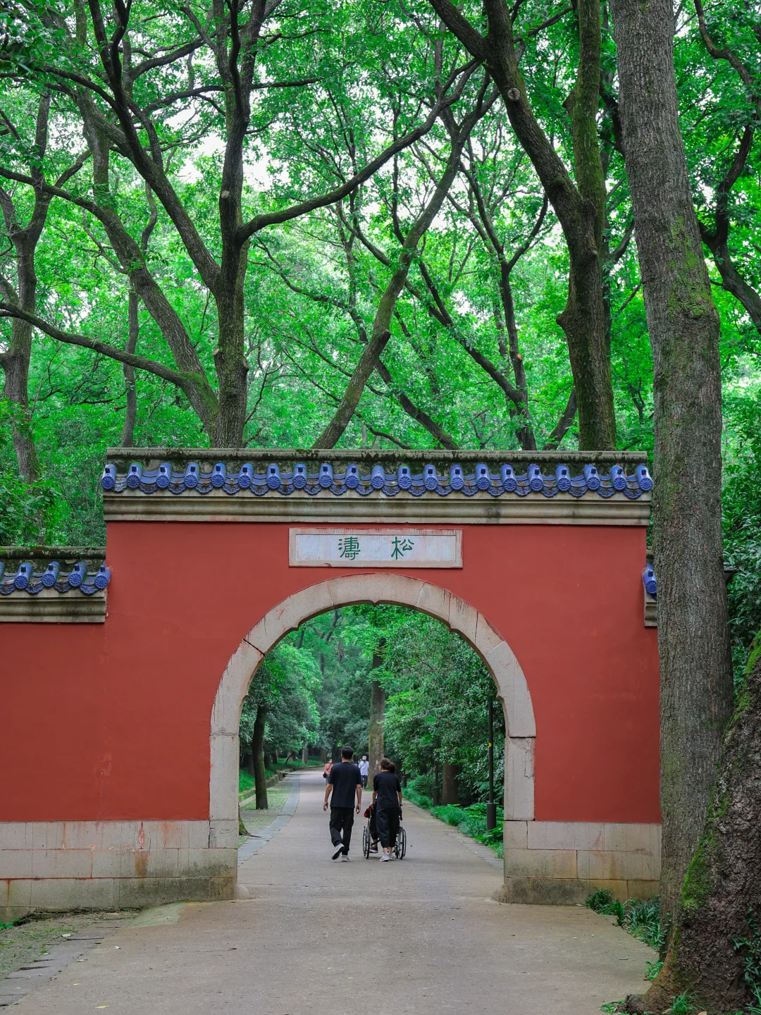 为了这🔟张照片，我特意飞了一趟南京‼️