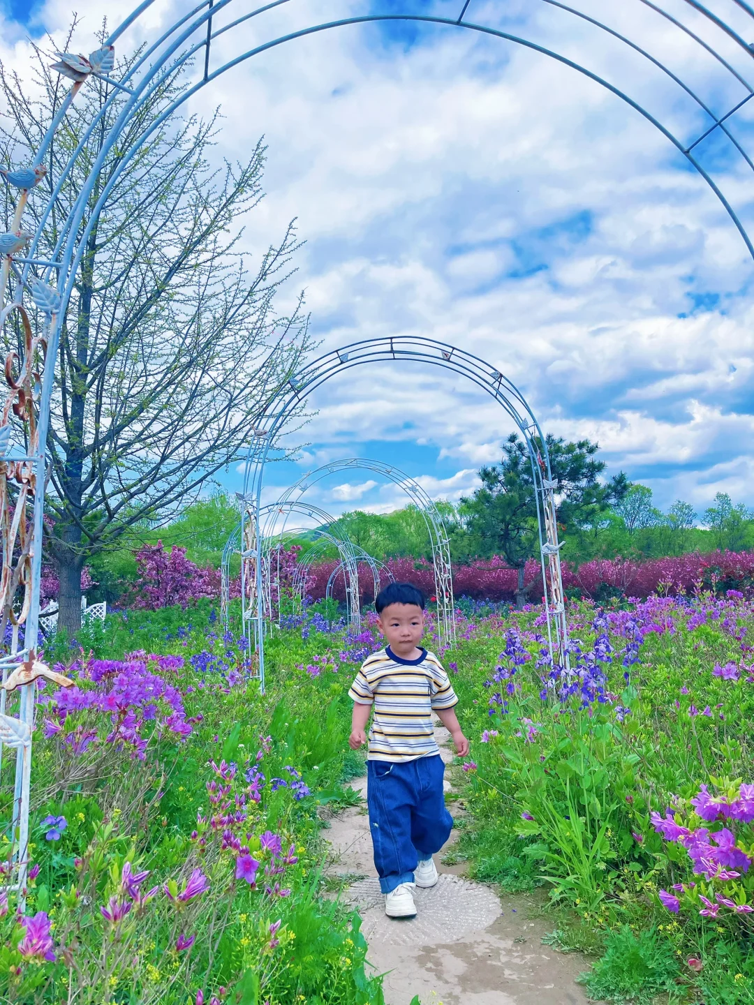 掉进了宫崎骏的画卷里🖼️