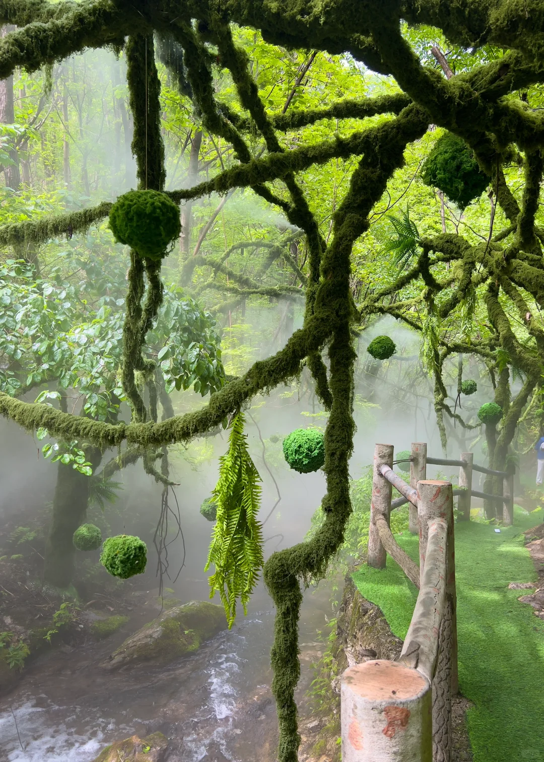 洛阳栾川重渡沟山野秘境