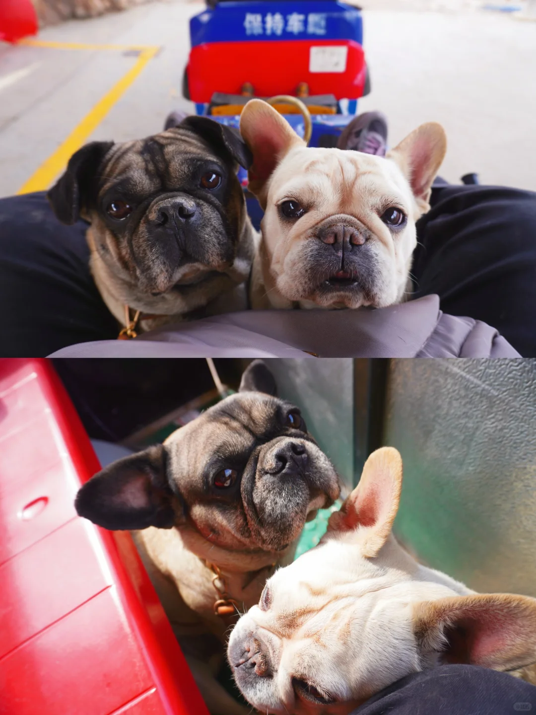 邯郸武安｜京娘湖