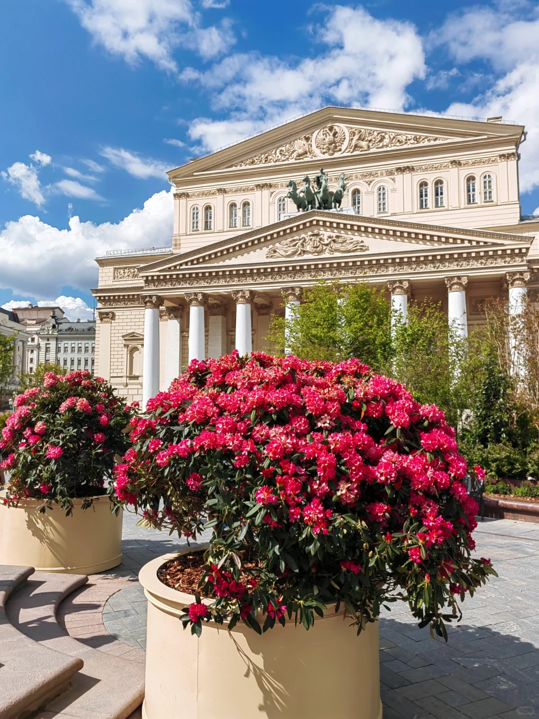 5.14 被莫斯科大剧院的茶花美到啦