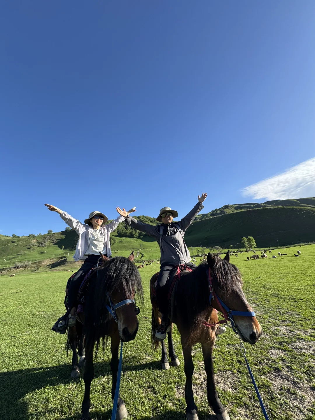 2025.05.14📍那拉提