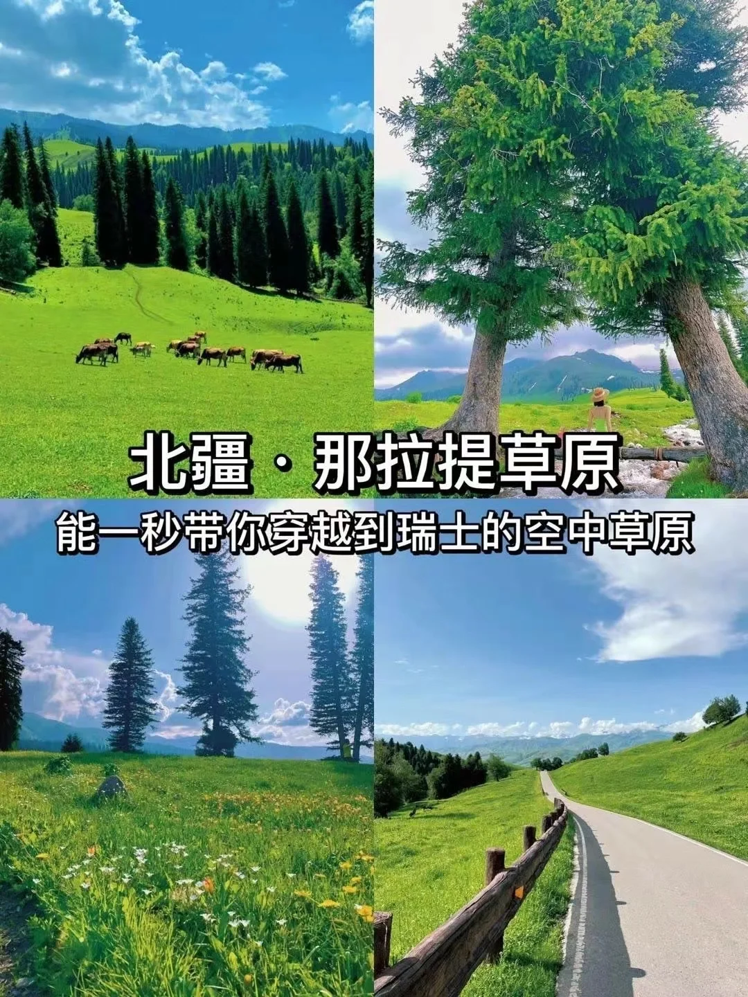 探秘北疆仙境,领略天山之巅的绝美风光!