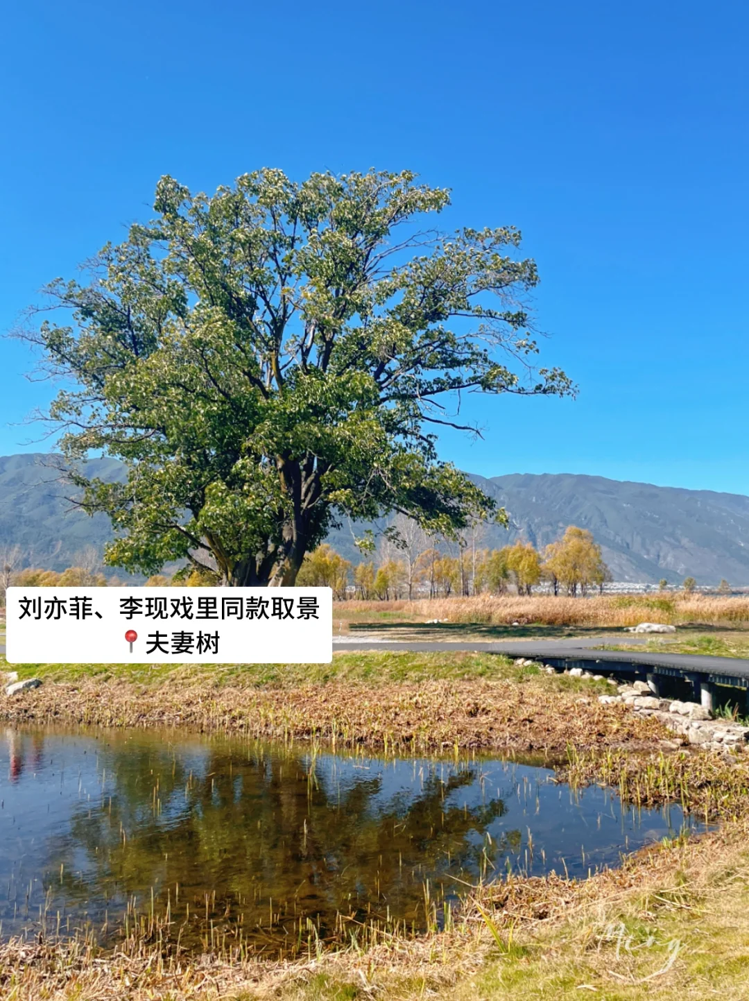 严重被低估❗️洱海旅拍人少出片宝藏公园🏞️