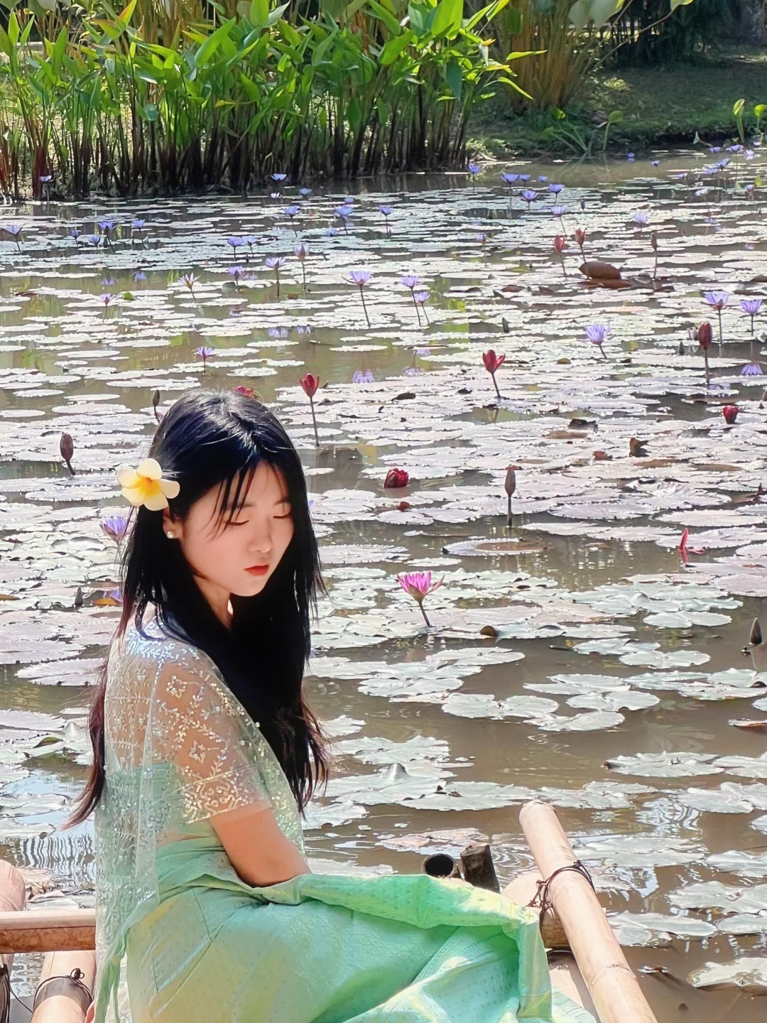 盘一盘西双版纳