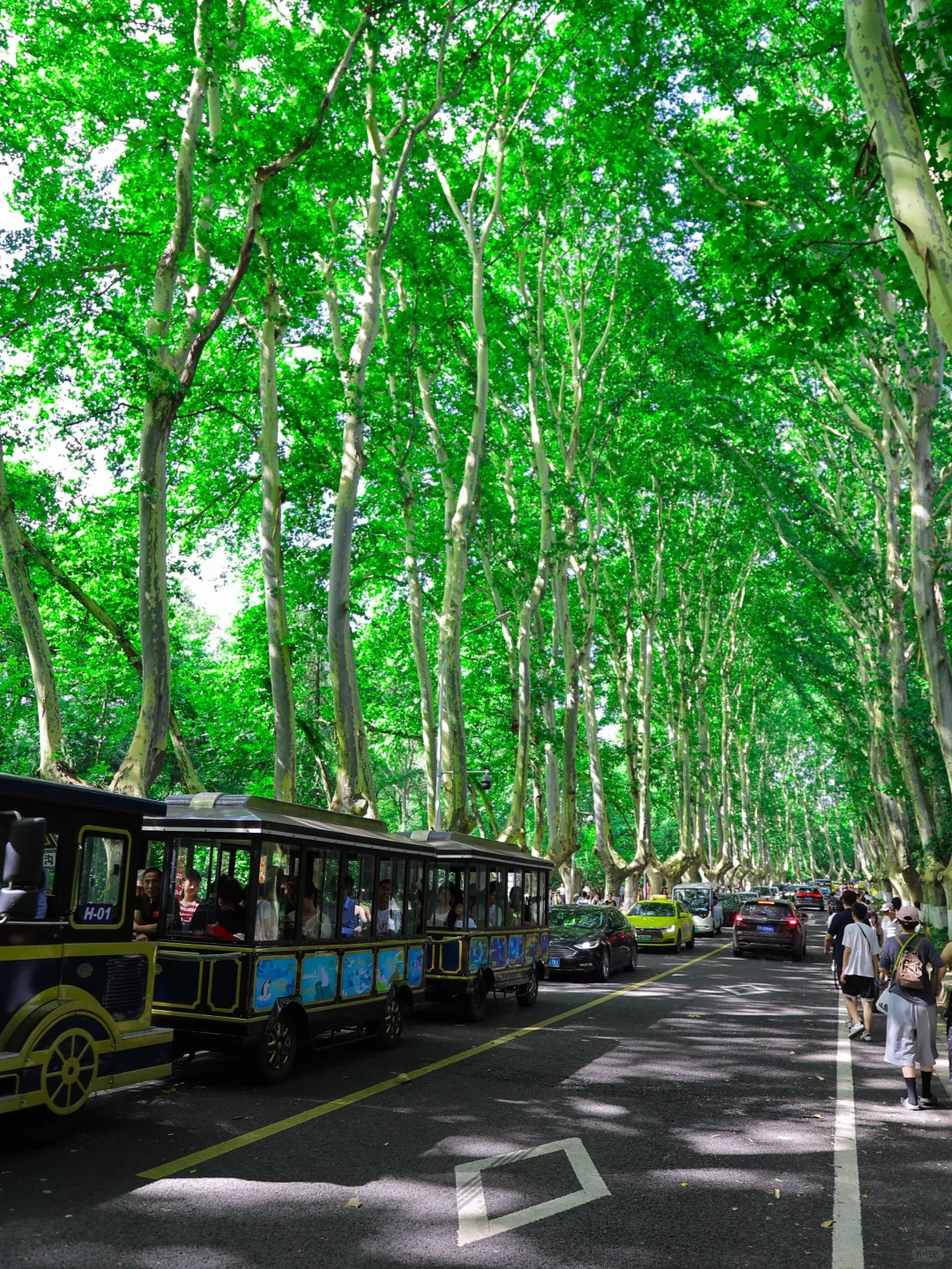 为了这🔟张照片，我特意飞了一趟南京‼️