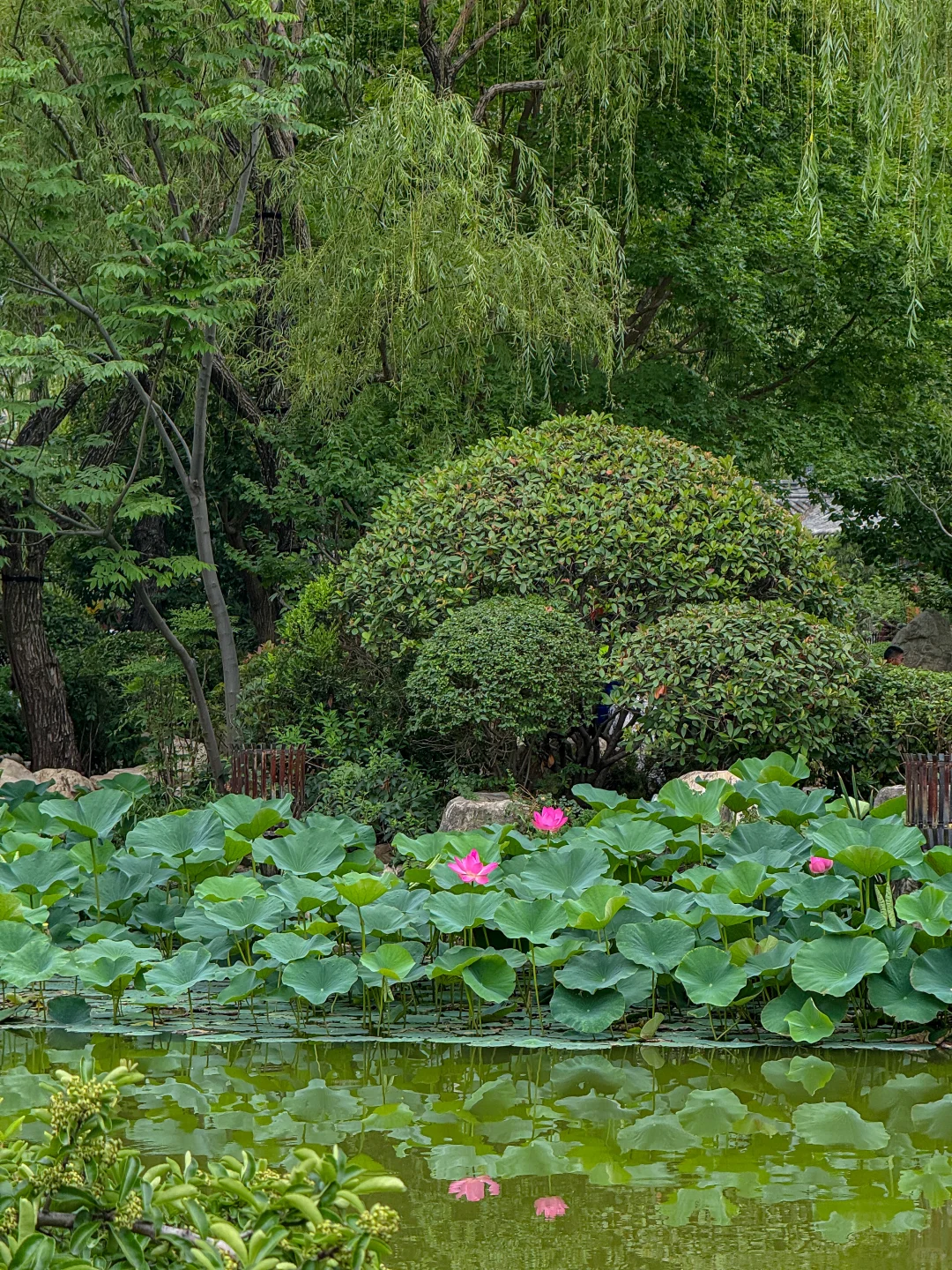 人生建议：离开西安前一定要逛华清宫…
