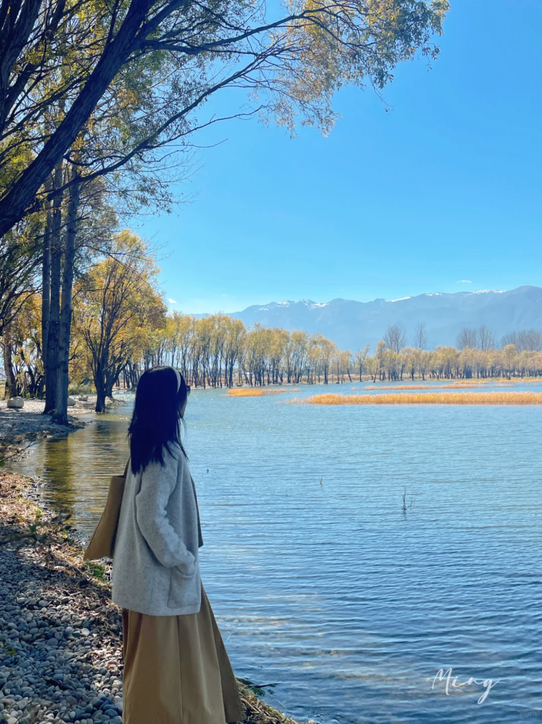 严重被低估❗️洱海旅拍人少出片宝藏公园🏞️