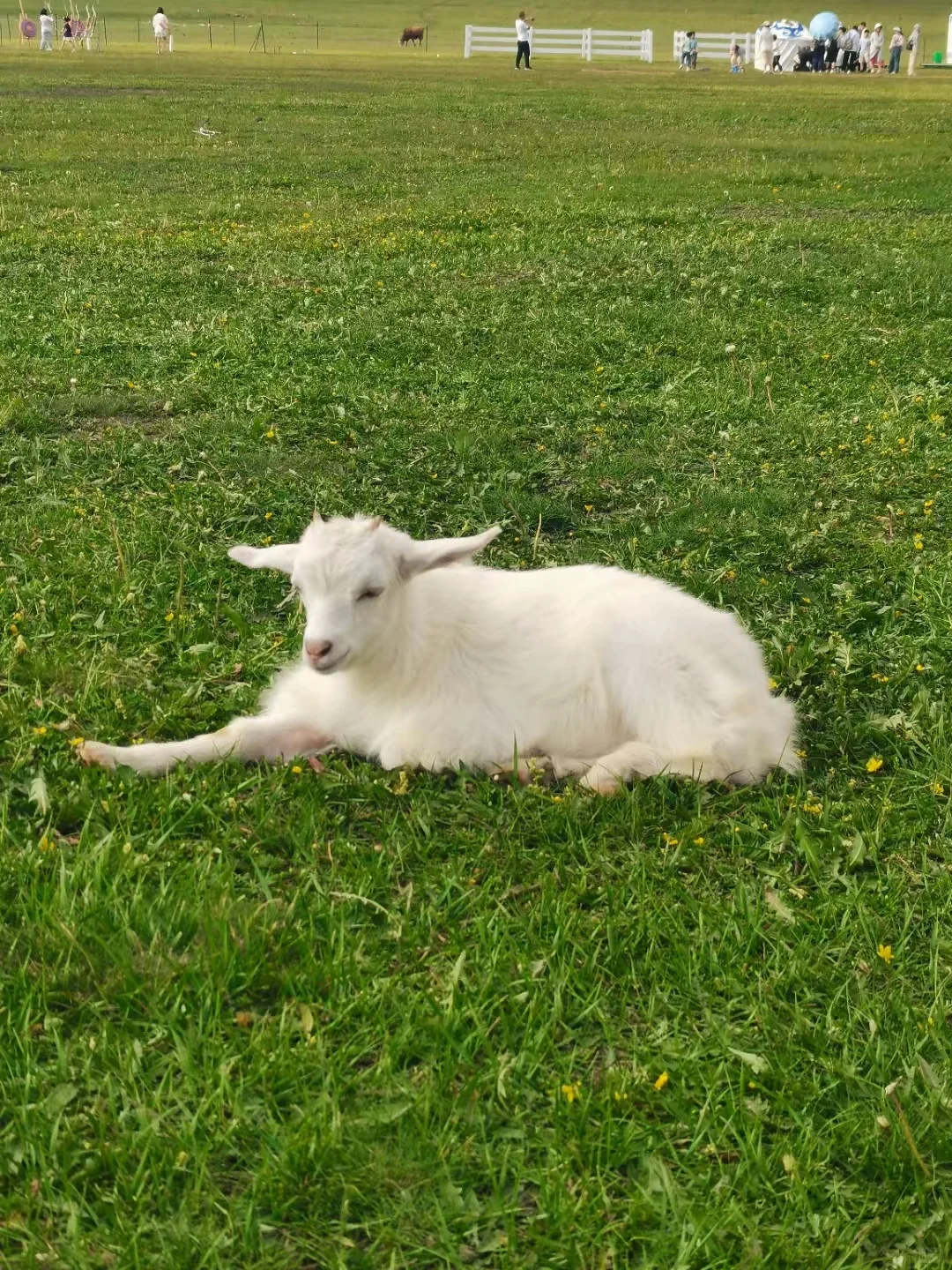 五一假期呼和浩特怎么玩
