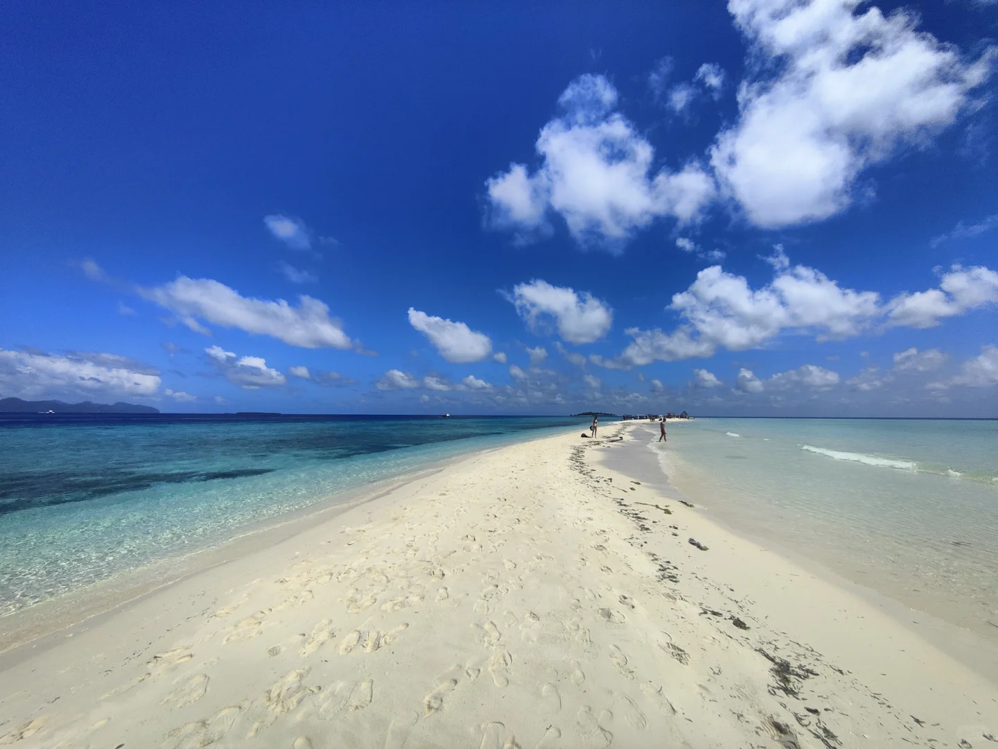 马来西亚12天4250元(仙本那亚庇行程攻略)