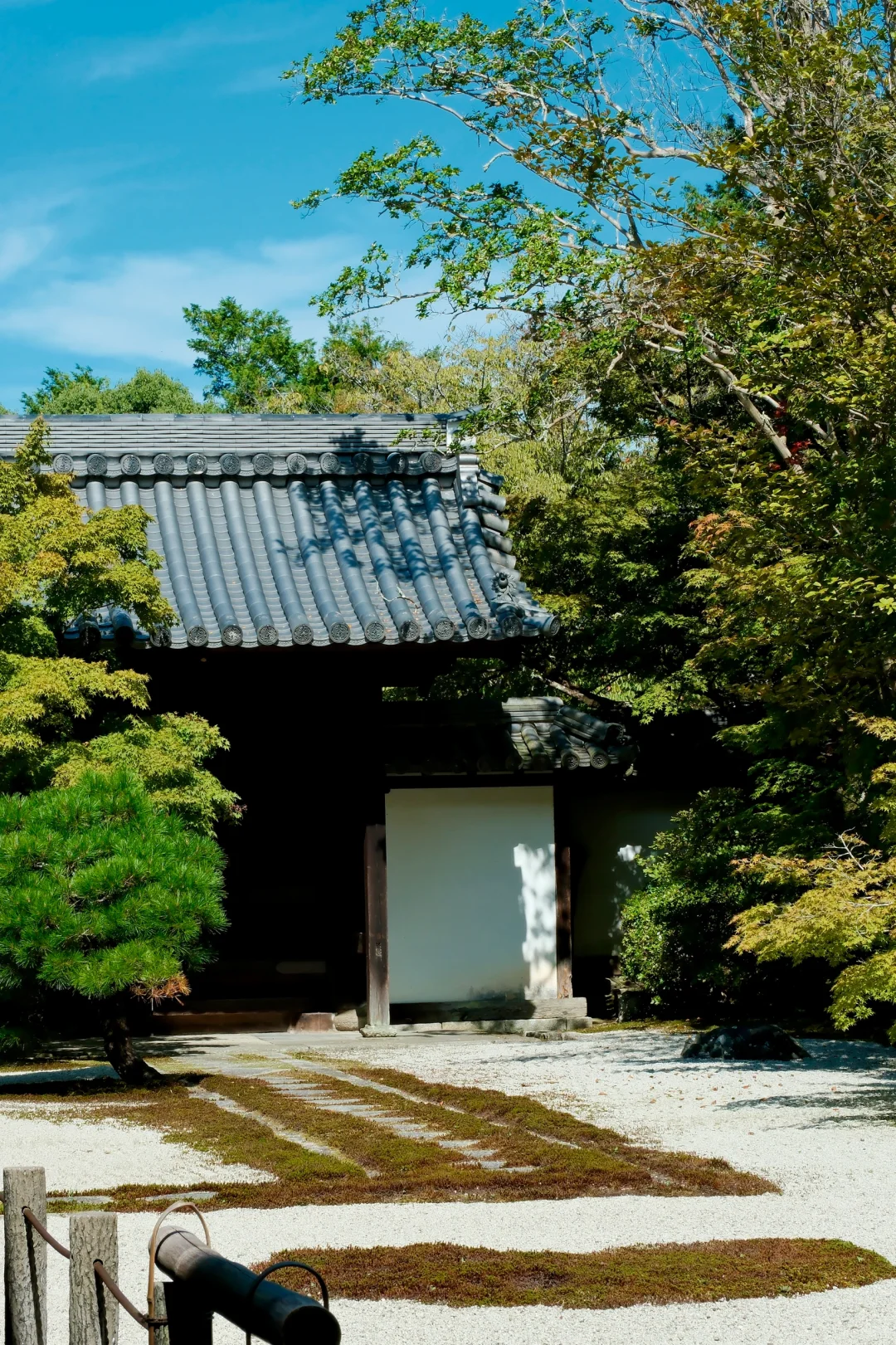🇯🇵|天授庵🍃京都最值得的一日游路线