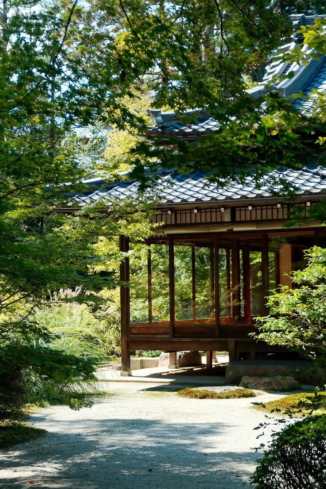 🇯🇵|天授庵🍃京都最值得的一日游路线