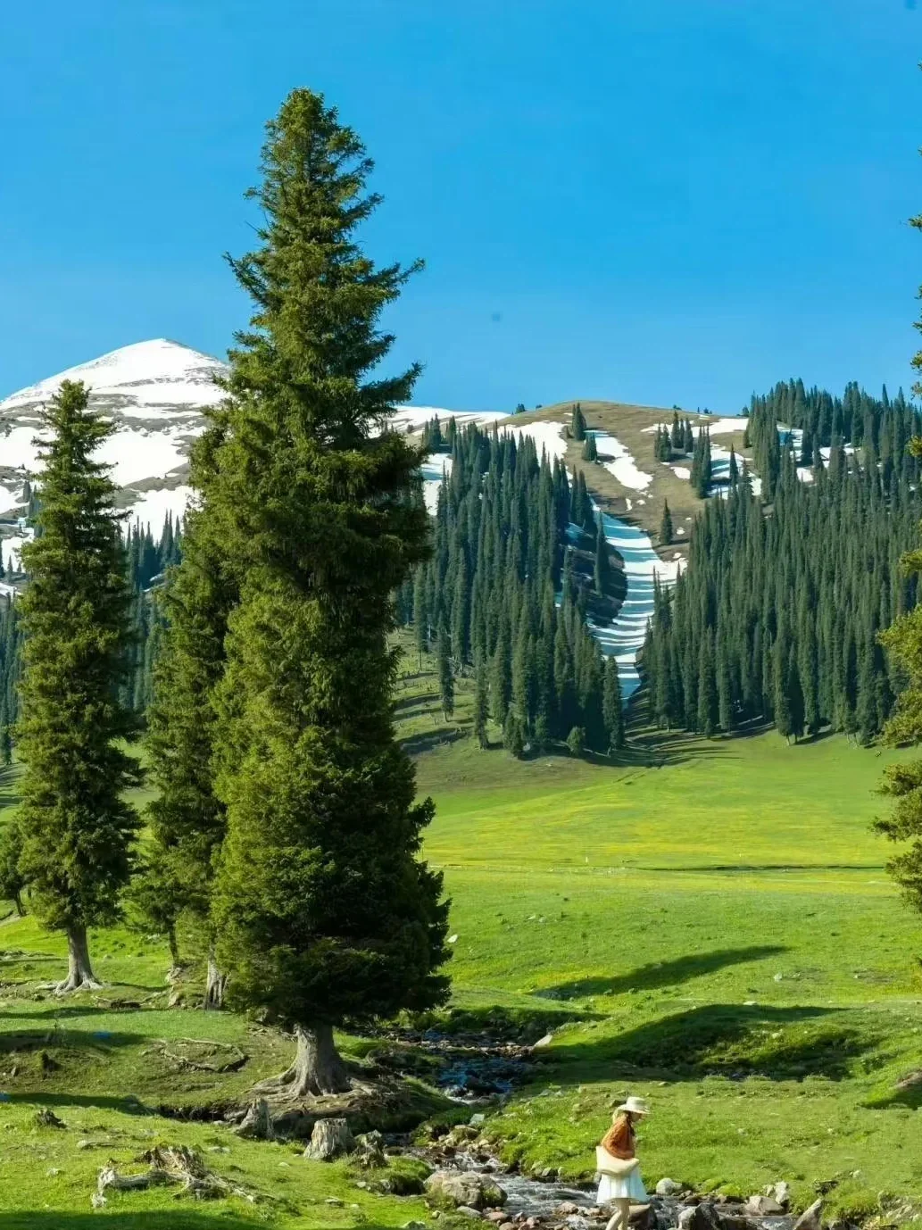 南北疆玩法终极指南🤯一篇让你看懂怎么玩