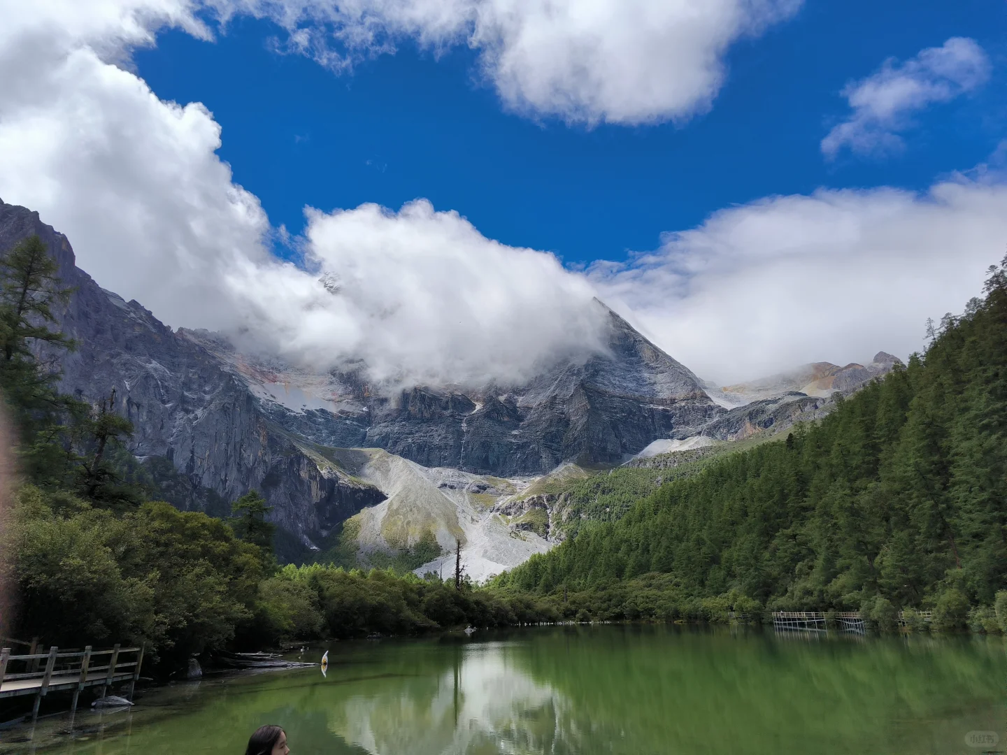 避雷！稻城又远风景又一般 狗都不去～
