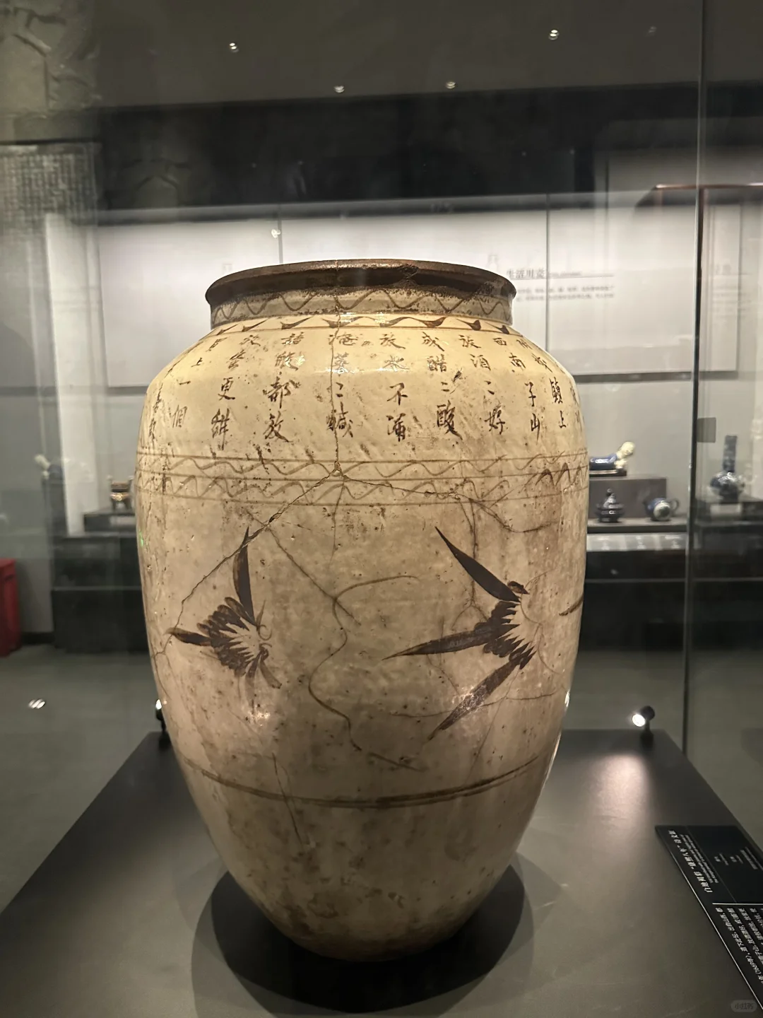 邯郸你真的很可爱