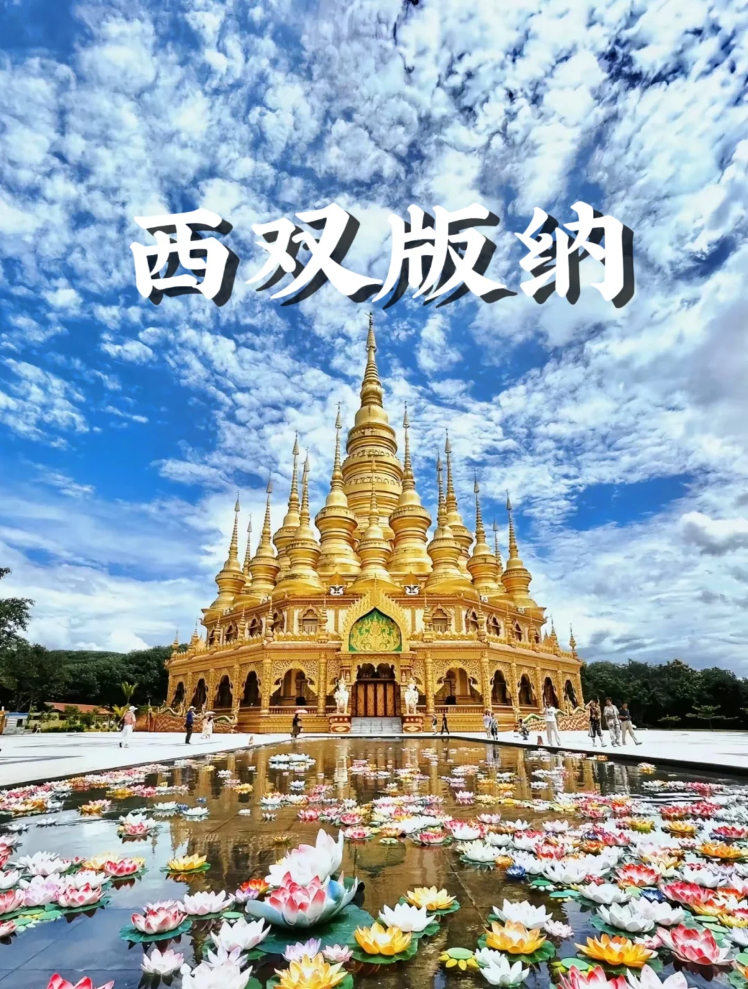 西双版纳3-5月必看！绝美打卡地曝光！