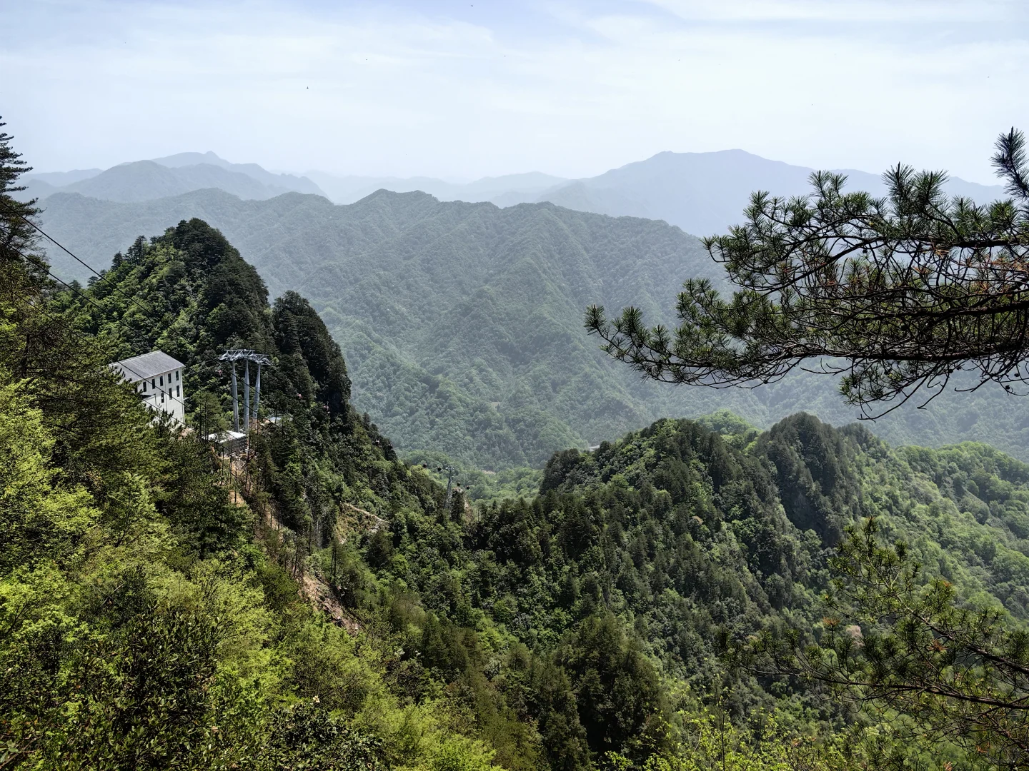 光雾山看高山杜鹃花攻略