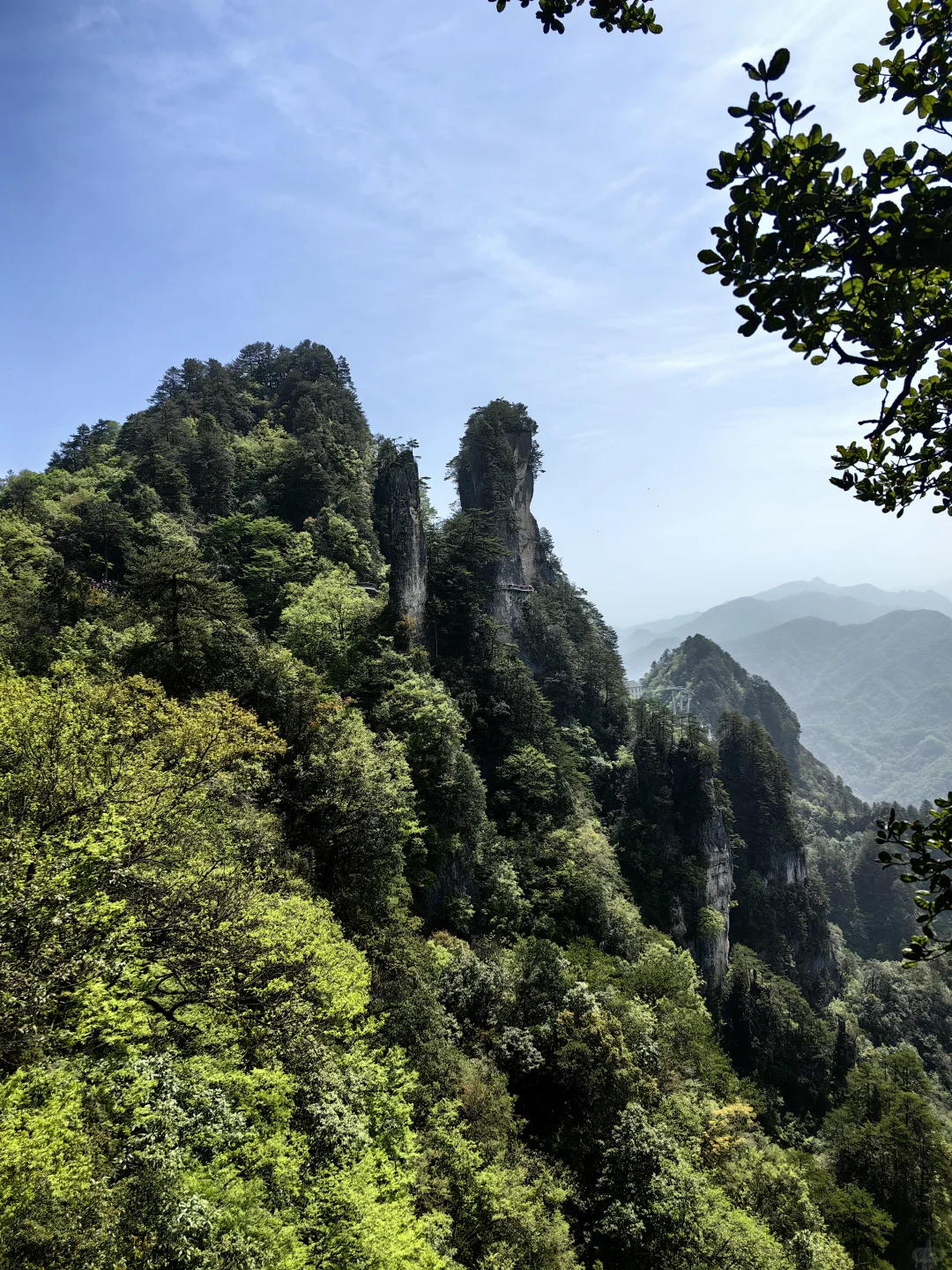 光雾山看高山杜鹃花攻略