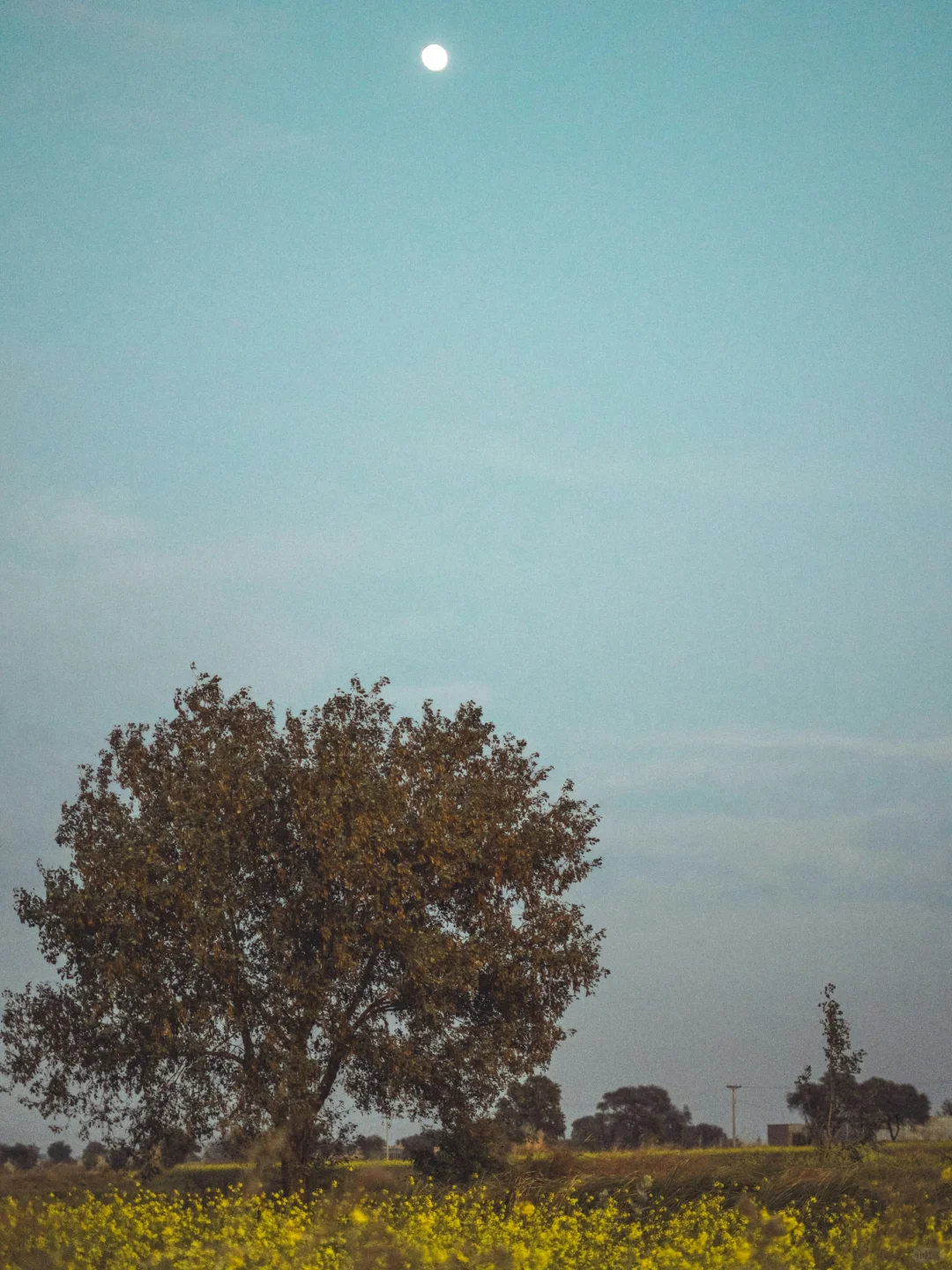 在徐州玩了一圈回来，跟大家说些真心话！