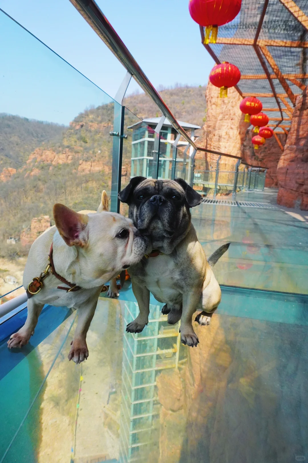 邯郸武安｜京娘湖