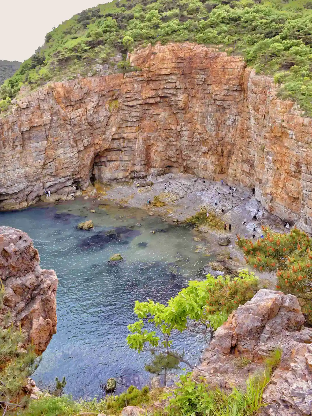 “以为威海已经够美了，直到去了大连…”