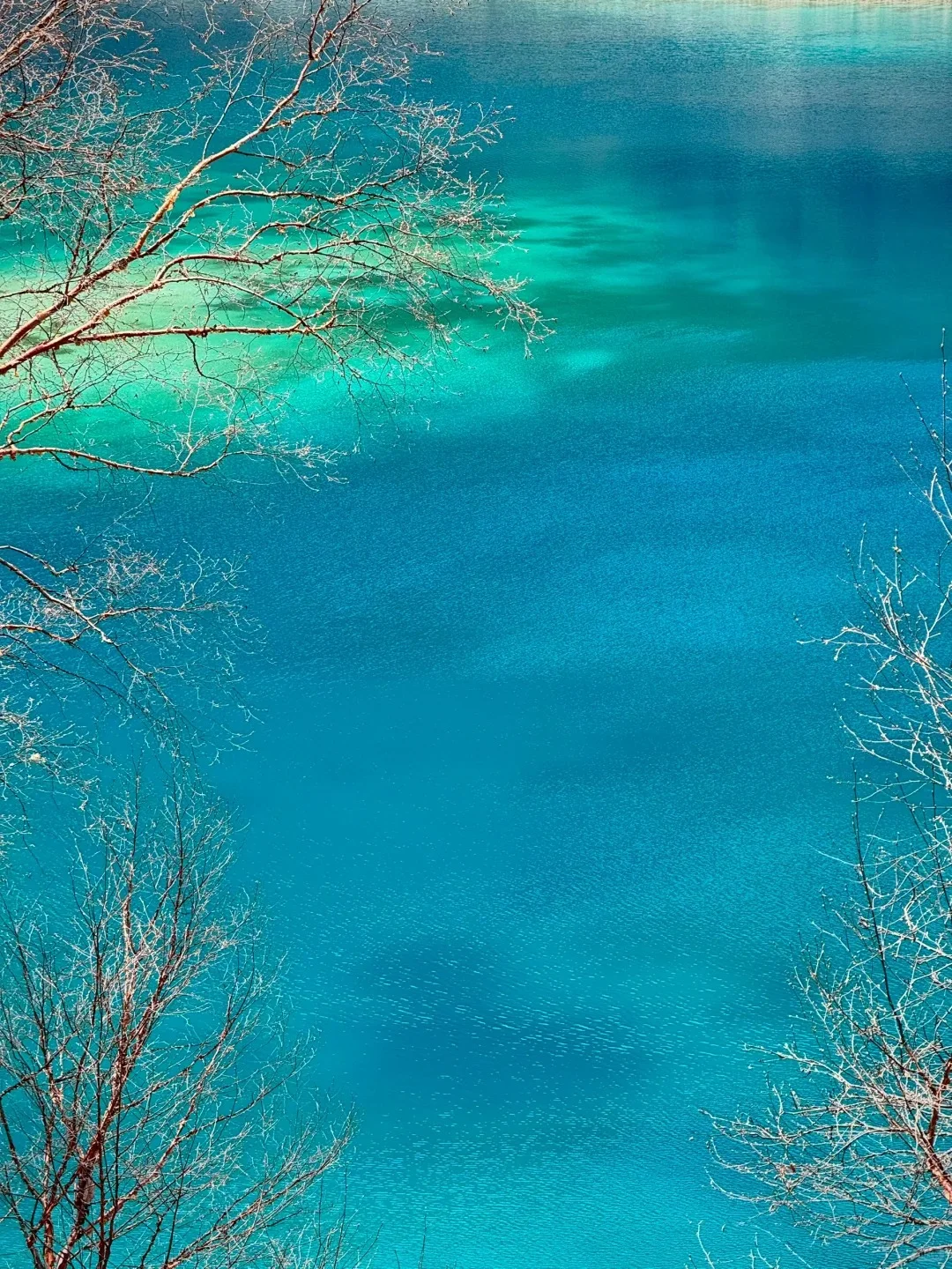 九寨沟避雷浅色衣服！！听劝（血泪穿搭指南