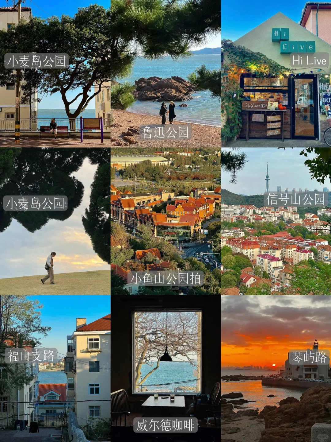 青岛会惩罚每一个不做攻略的人。。。