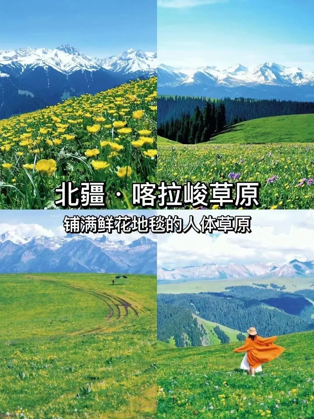 探秘北疆仙境,领略天山之巅的绝美风光!