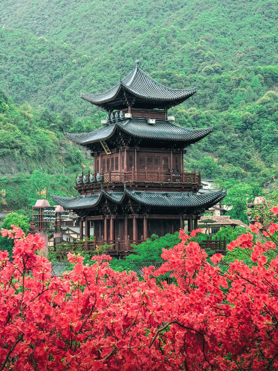 在江西拍到了李白诗里的“手可摘星辰”😭