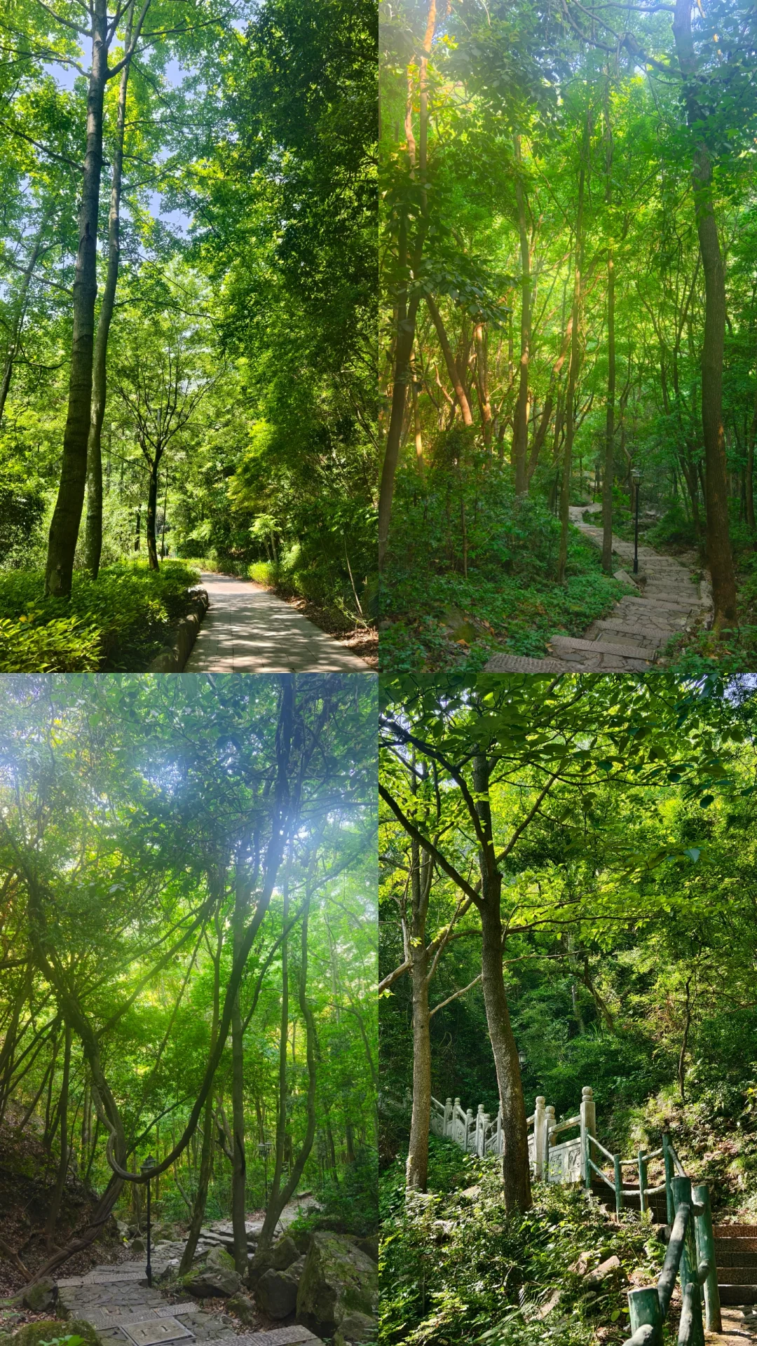 义乌游玩景点-华溪森林公园