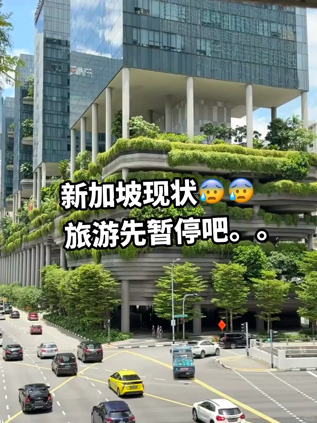 4.28📍新加坡已回，说点不一样的。。。