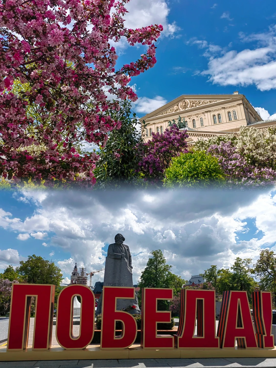 5.14 被莫斯科大剧院的茶花美到啦