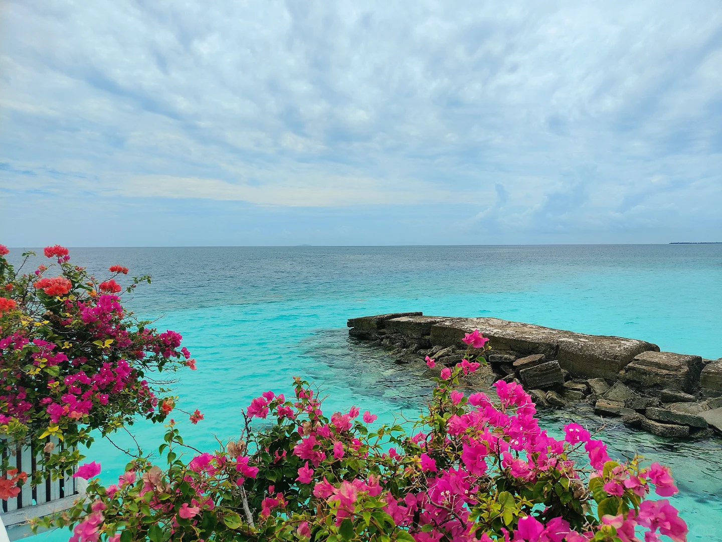 马来西亚12天4250元(仙本那亚庇行程攻略)