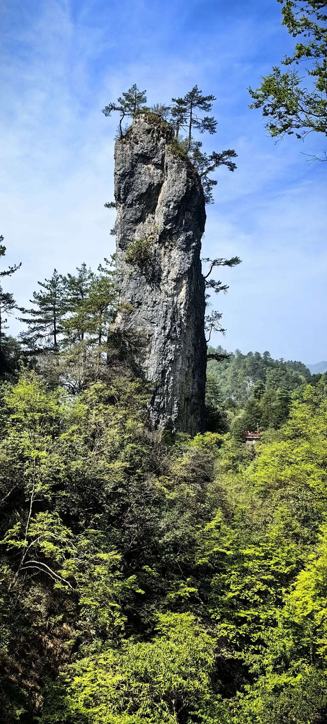 光雾山看高山杜鹃花攻略