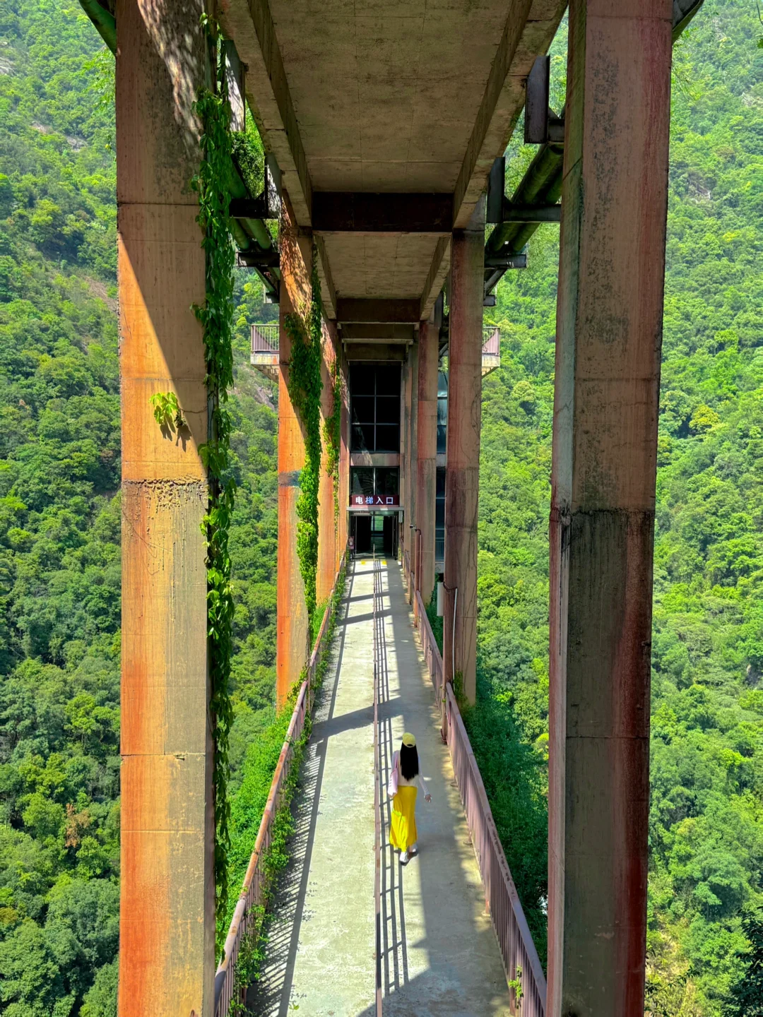 在广东‼️我很少用“震撼”来形容一个地方