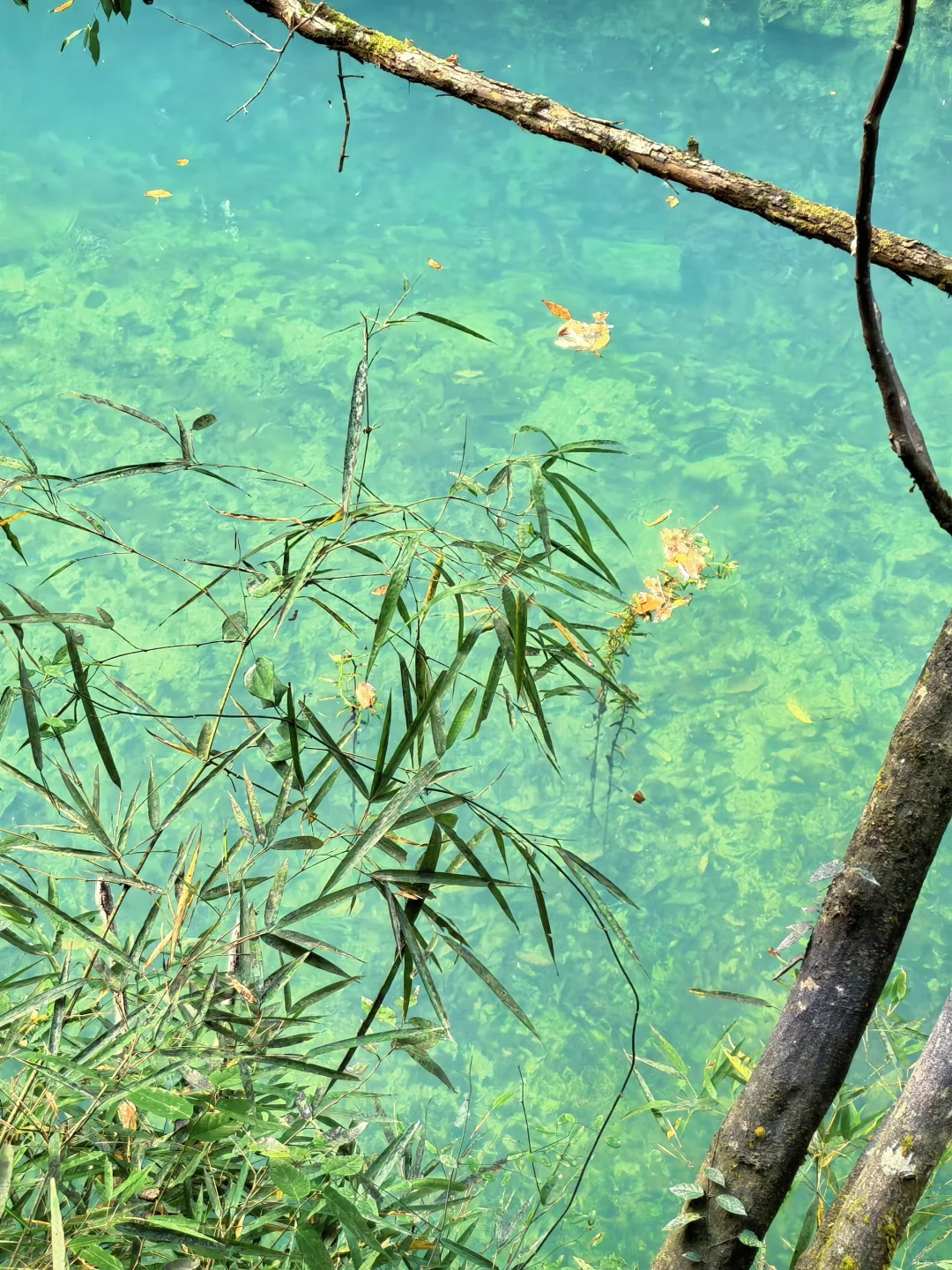 西安2h|不愧是小江南❗️没人能拒绝全攻略