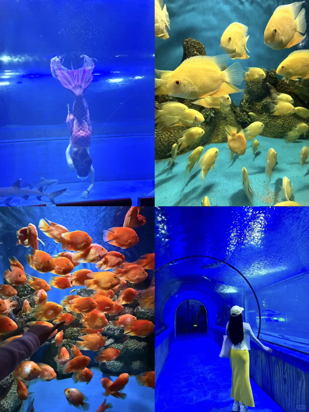 在广东‼️我很少用“震撼”来形容一个地方