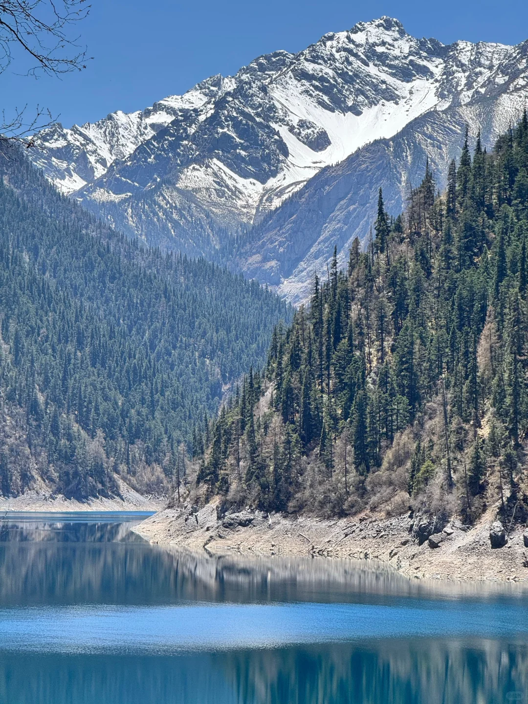 xhs说的对,5-6月计划去九寨沟的听劝😅…