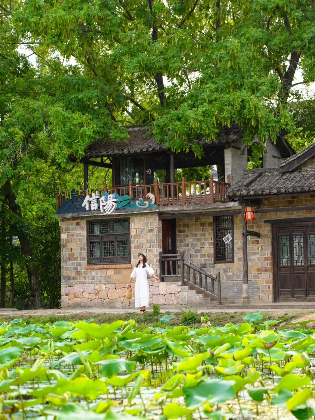 信阳❗️你还有多少惊喜是我不知道的😭附攻略