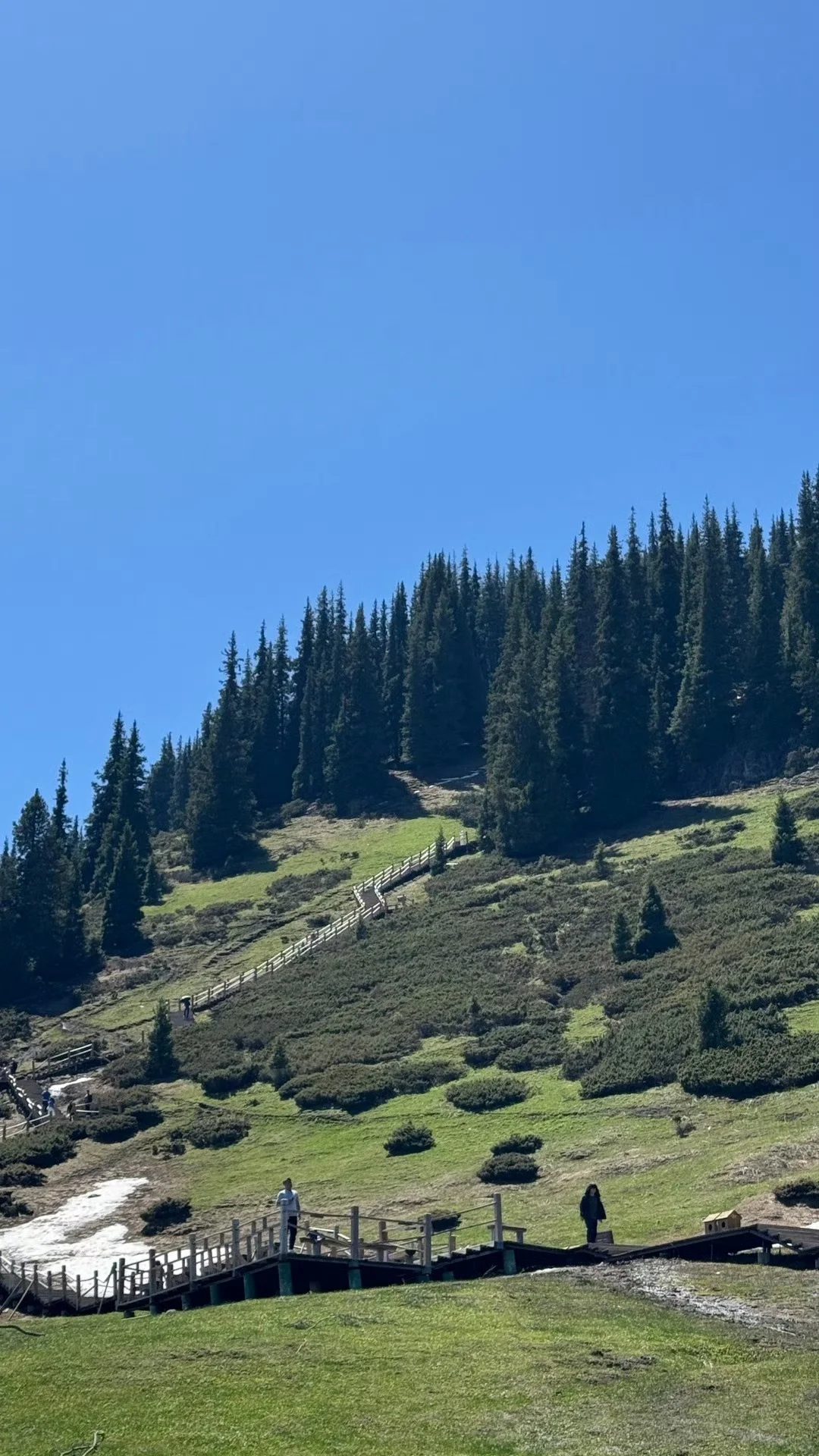 新疆回来第二天 不想报团的姐妹参考这篇
