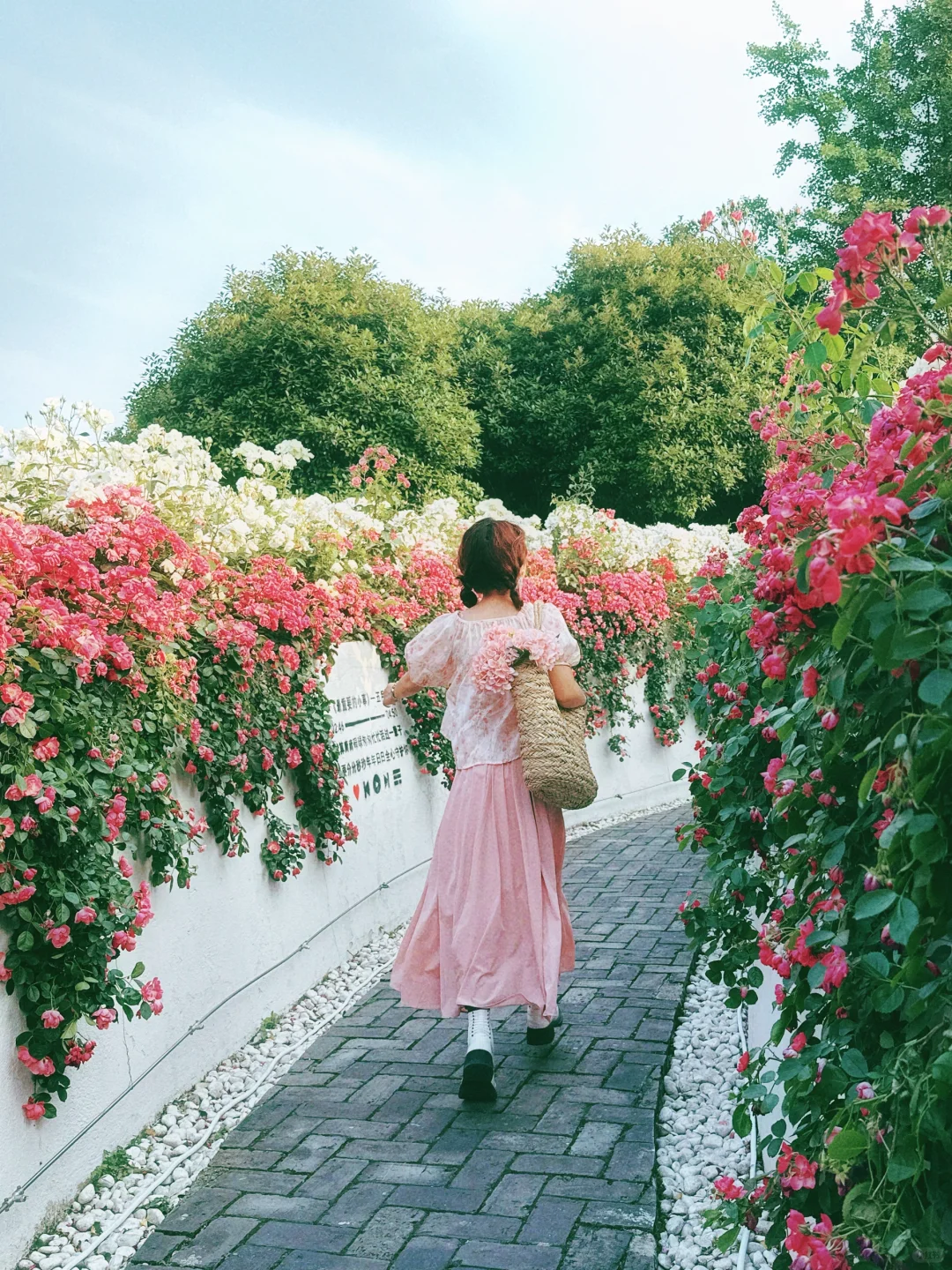 5月19——25日🔥无锡全市半价景区汇总版✅