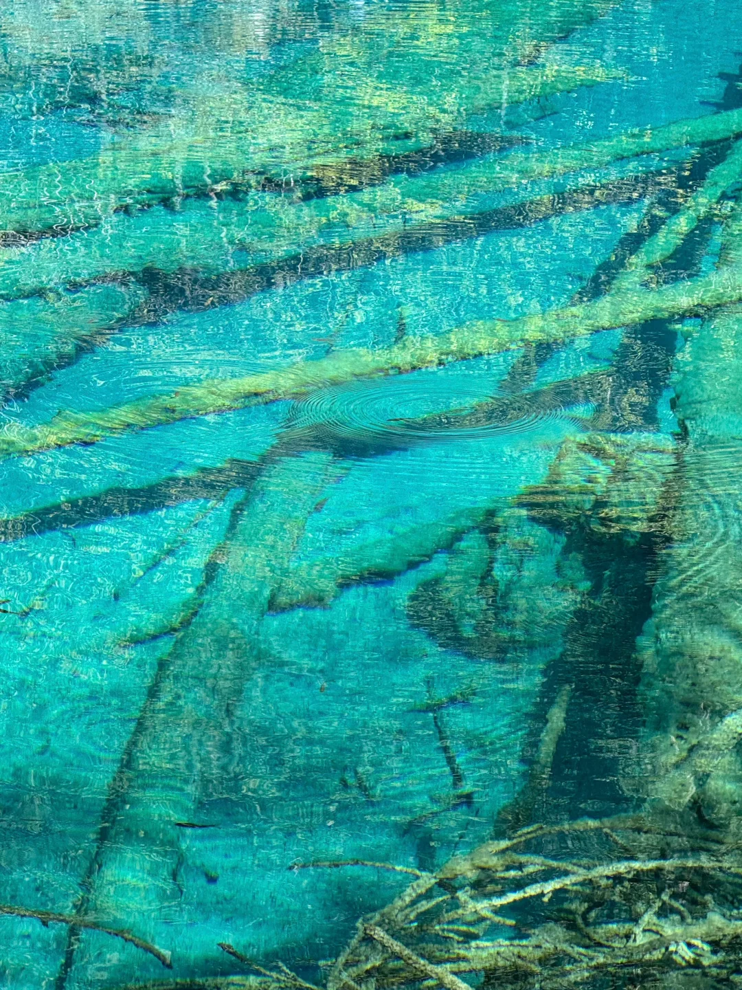 xhs说的对,5-6月计划去九寨沟的听劝😅…