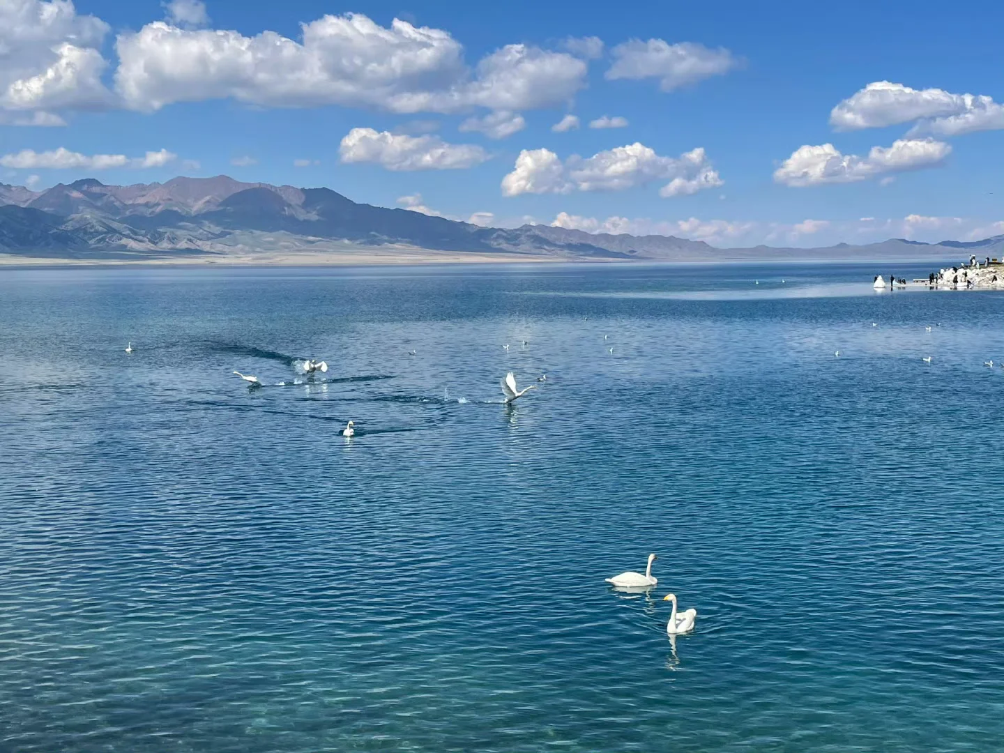 新疆回来第二天 不想报团的姐妹参考这篇