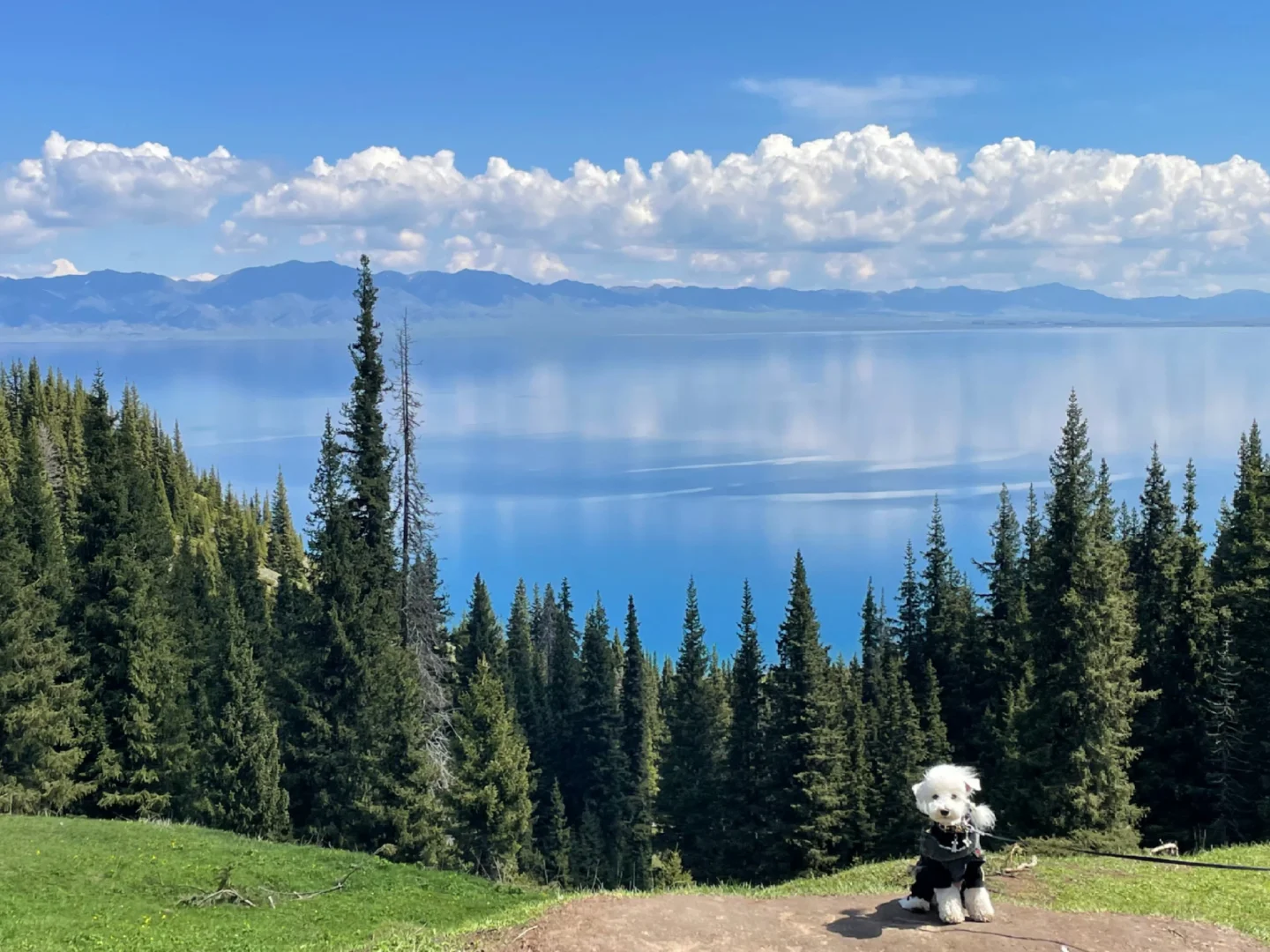 新疆回来第二天 不想报团的姐妹参考这篇