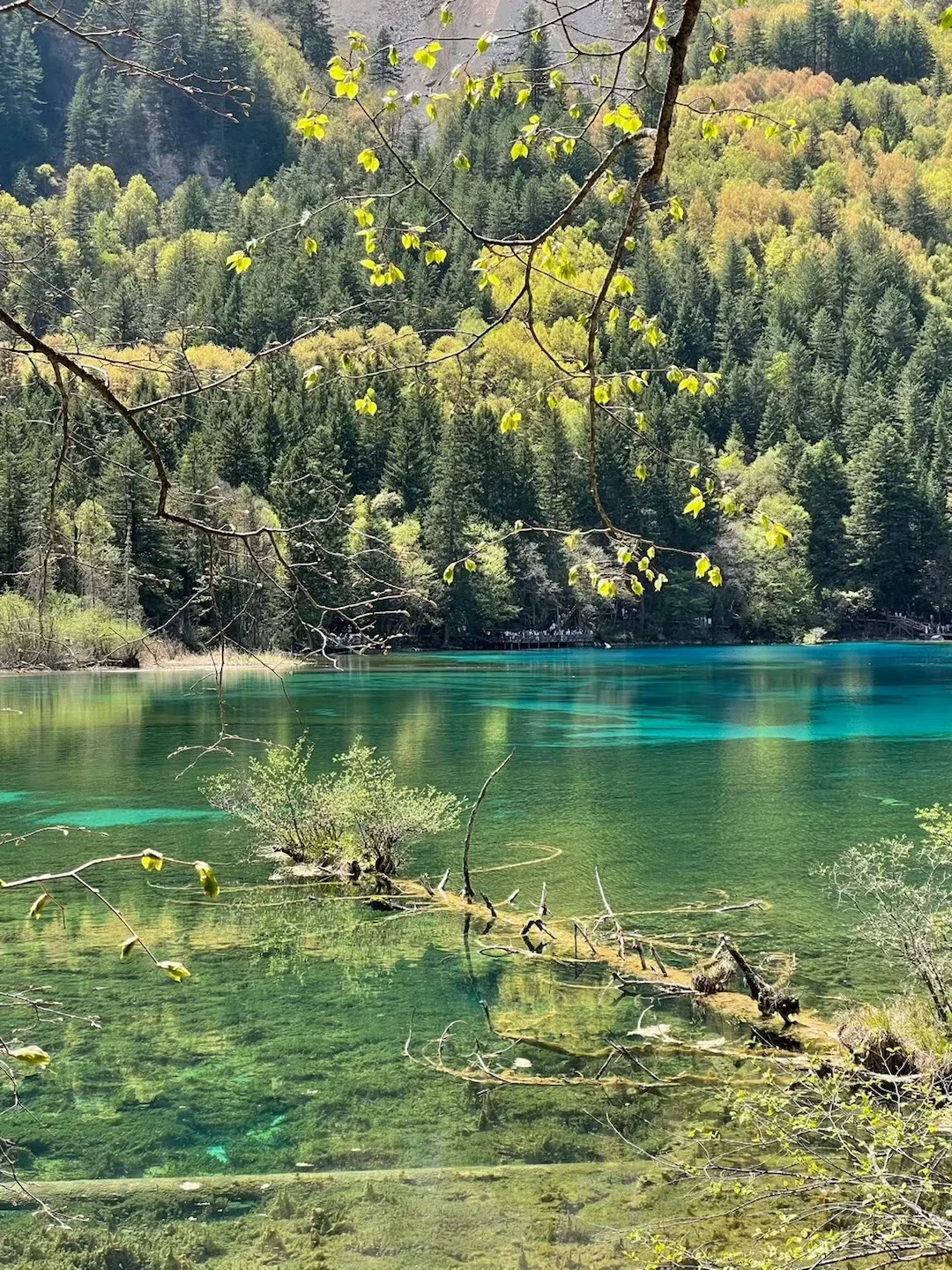xhs说的对,5-6月计划去九寨沟的听劝😅…
