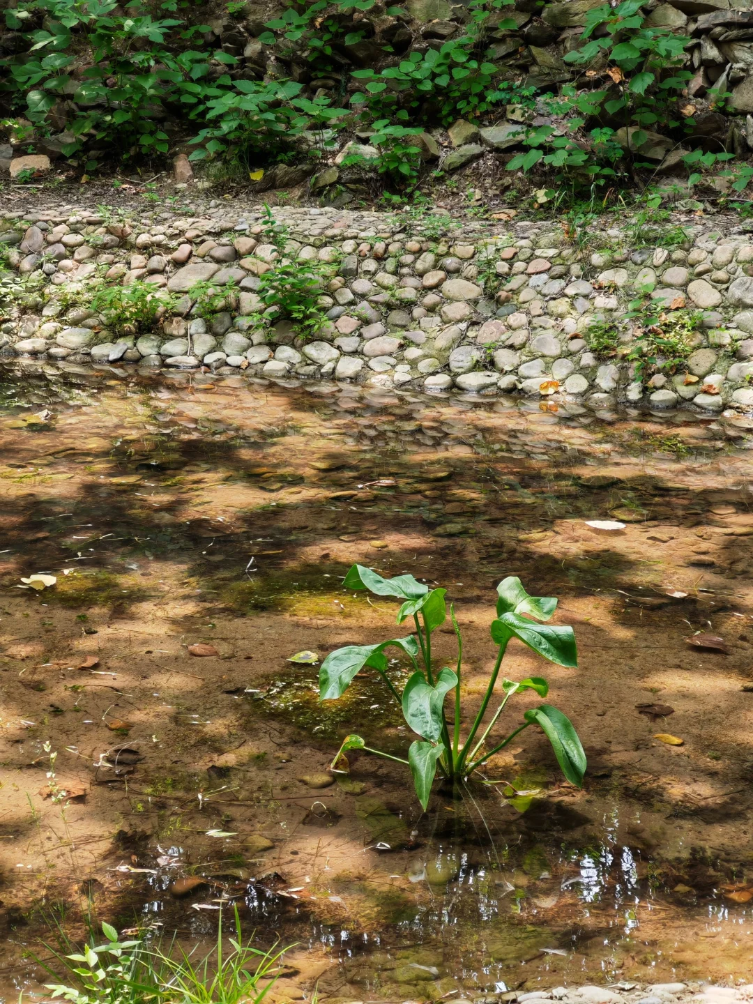 柳仙谷 石家庄周末游玩的凉爽好去处