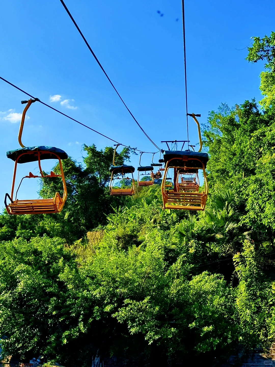 景区引流新密码！低空缆车厂家揭秘爆火真相